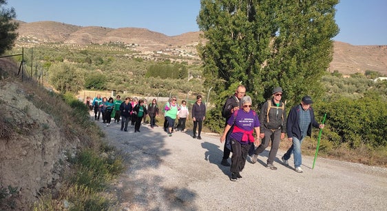 El Ayuntamiento de Baza promociona siete rutas saludables