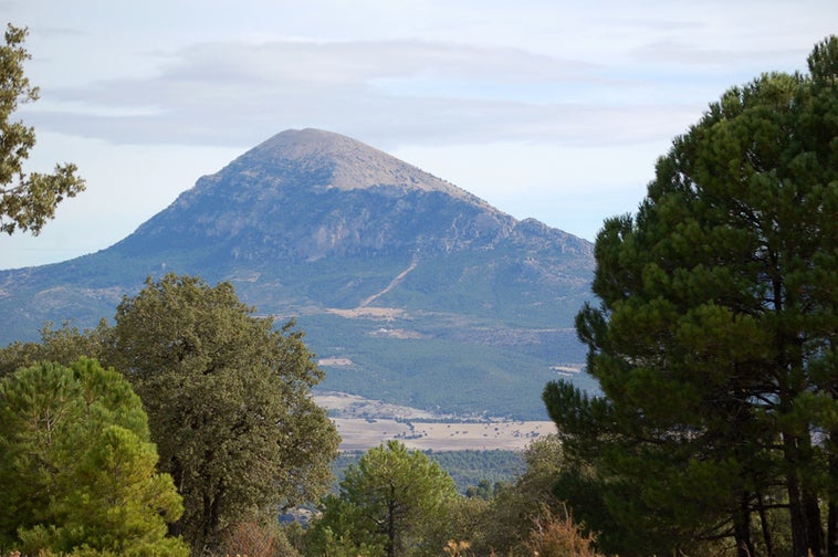 La Fundación Biodiversidad financia con 1,65 millones el aprovechamiento forestal sostenible en Baza, Huéscar y Guadix