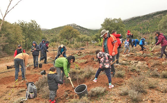 El Día del Bosque en el Parque Natural Sierra de Baza se celebra este domingo