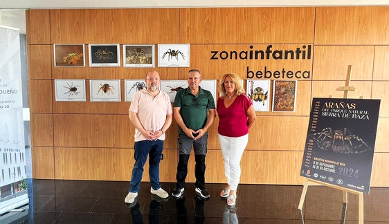 La Biblioteca Municipal acoge una exposición de arañas del Parque Natural Sierra de Baza
