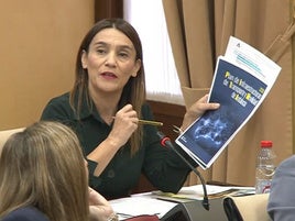 Olga Manzano parlamentaria socialistas por Granada, hoy en el Parlamento Andaluz