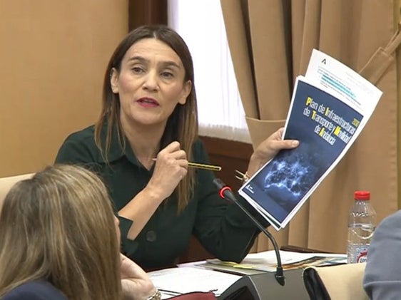Manzano advierte que «vigilará el cumplimento» del compromiso de que la autovía del Almazora llegue hasta Baza