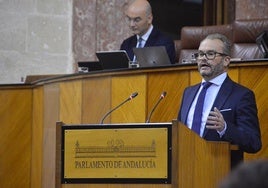 Mariano García Castillo, durante una intervención en el Parlamento Andaluz