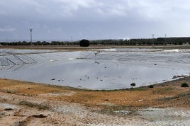 Balsa de purines de las muchas macrogranjas de cerdos que hay en el municipio