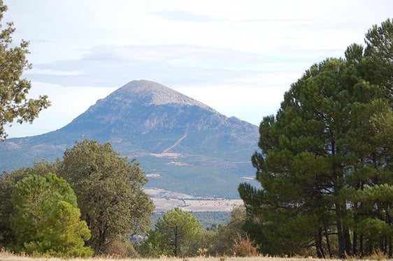 UPA Granada presenta alegaciones al plan de ordenación del futuro PN Sierra de la Sagra