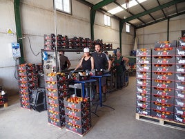 Envasadora de una explotación hortícola en Baza