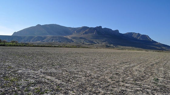 El PSOE exige a la Junta que los agricultores de Baza se acojan a la modernización de regadíos