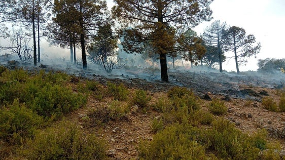 Un rayo provoca un incendio forestal en la Sierra de Baza