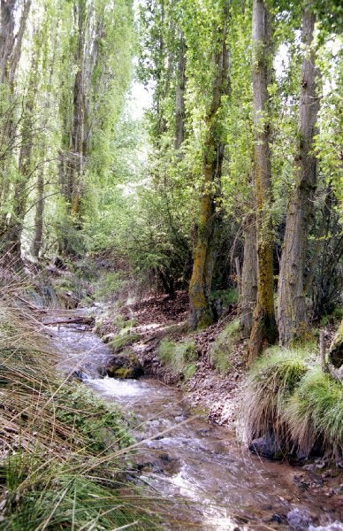 Rutas en Baza