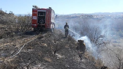 El Servicio contra Incendios extingue cuatro incendios en Caniles, Zújar y Baza