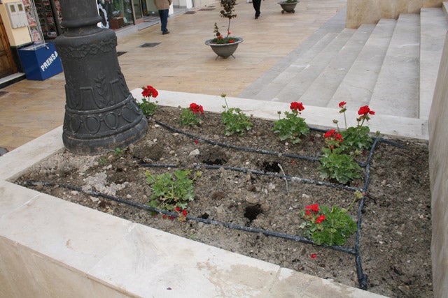 La Policía Local de Baza multa a una mujer por robar plantas de los jardines