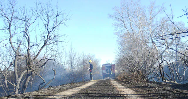 El municipio de Caniles acumula 21 incendios en lo que va de año la mayoría intencionados