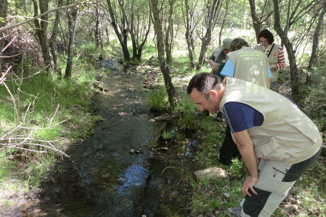Los voluntarios del Parque Natural de Baza son portada de la revista ‘en acción’ de la Consejería de Agricultura