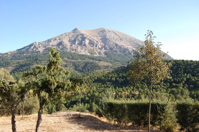La Sagra quiere ser parque natural