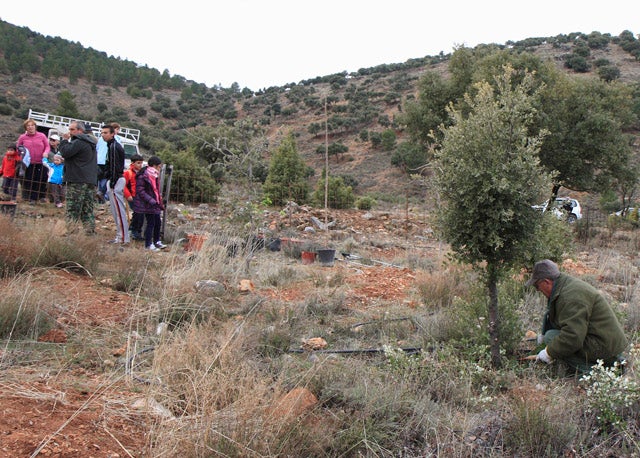 100 personas celebran el XV Día del Bosque en el Parque Natural de la Sierra de Baza