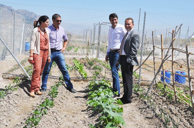 44 familias ya cultivan los huertos cedidos por el Ayuntamiento