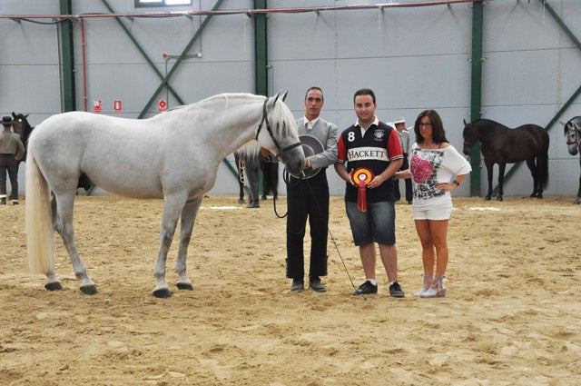 Fer Gallardo y Senadora Ram ganadores de Campeonato de Caballos de PRE de Baza