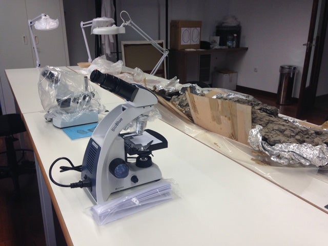 El Museo Arqueológico mejora su dotación para investigación