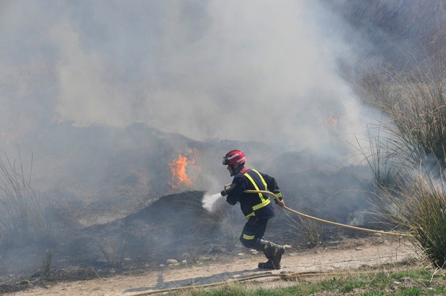 Alerta ante el peligro de incendios forestales