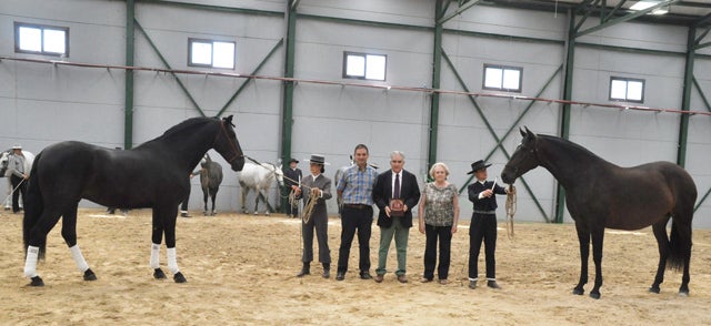Baza acoge el XIX Campeonato de Caballos de Pura Raza Española de Andalucía Oriental