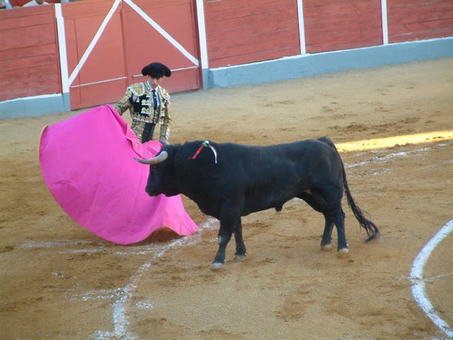 Finito de Córdoba sustituye Francisco Rivera Paquirri en la corrida del día 12 en Baza