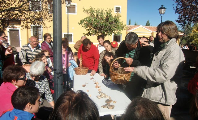 El Ayuntamiento de Baza facilita a los buscadores de setas el calendario de cacerías para evitar accidentes