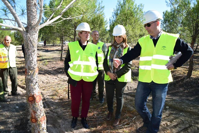 Medio Ambiente realiza tratamientos selvícolas en los montes de Huéscar y Puebla de Don Fadrique