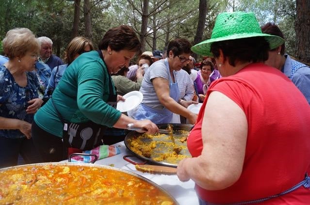 600 mayores de los centros de participación activa de Baza, Guadix, Huéscar, Castril y Cúllar se reúnen para comerse un arroz