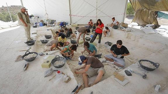 Nuevas excavaciones arqueológicas en verano en Orce