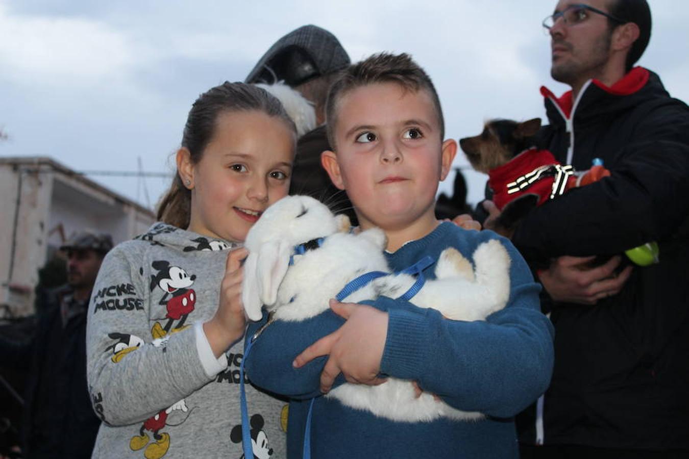 El núcleo urbano de Santa María del Águila vivió este pasado sábado su especial festividad de San Anton, que contó tanto con su parte religiosa como con un espacio para la fiesta, la convivencia y las tradiciones. En esta línea, a las cinco de la tarde arrancó la jornada con la concentración animales y mascotas en el parque municipal. A las seis y media se llevó a cabo su bendición en la puerta de la parroquia de la localidad y posteriormente arrancó el recorrido de la antorcha para acabar con el encendido de la gran hoguera de San Antón en una noche de fiesta y convivencia.