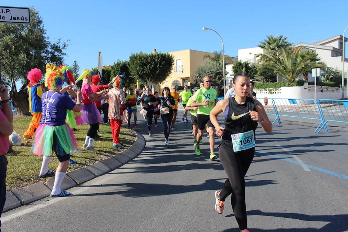 Más de medio millar de runners disfrutaron esta mañana de la XII edición de la Media Maratón de El Ejido Ciudad de las Hortalizas. Una carrera rápida, vistosa y que mantenía el mismo recorrido de ediciones anteriores, con varias subidas que obligaron a los corredores a tener que dosificar y en la que se mejoraron los tiempos de la pasada edición.