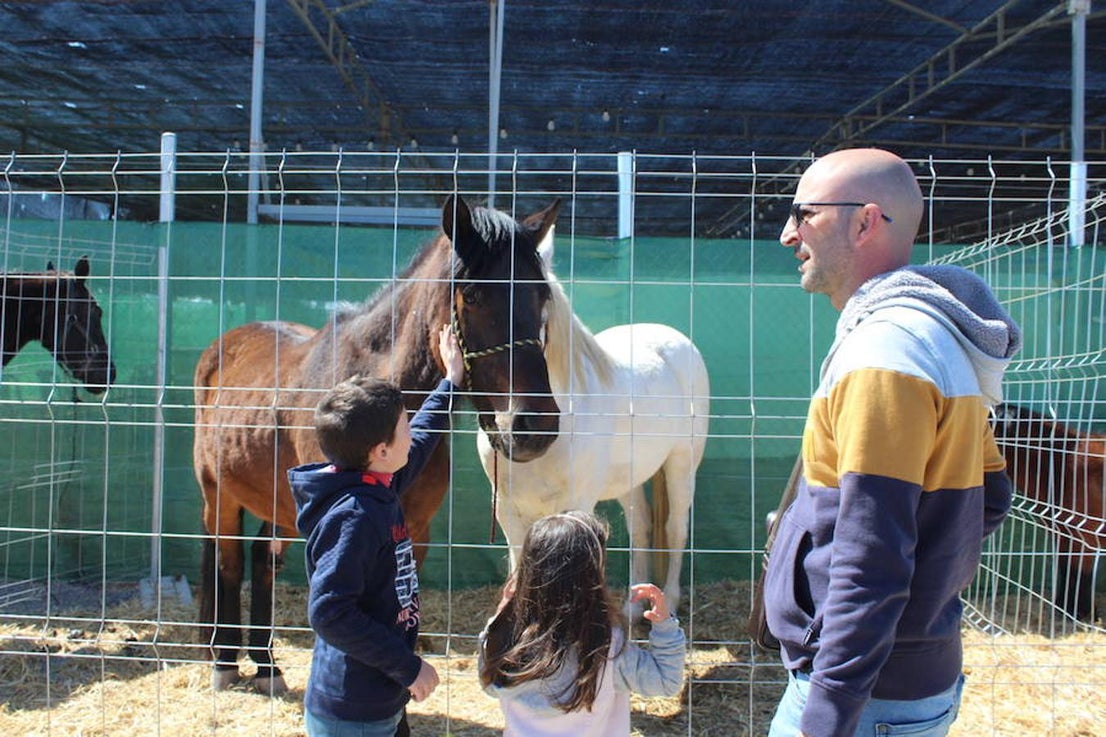 Miles de personas visitaron este pasado fin de semana el núcleo de Tarambana para vivir y disfrutar de la séptima edición de la Feria del Ganado, que organizan la Comisión de Fiestas Tarambana con la colaboración del Ayuntamiento de El Ejido, la Junta Local y la Asociación de Vecinos 'La Fabriquilla'. Pese al viento y al frío que este fin de semana imperó en el municipio ejidense, este evento ganadero registró una gran afluencia, demostrando que se trata de una feria que se ha consolidado en el tiempo y que crece cada año, con visitantes llegados no solo del propio municipio, sino de toda la provincia e incluso de otras provincias cercanas. 