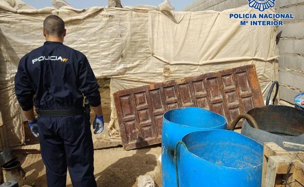 Imagen principal - Localizan un invernadero con 270 plantas de marihuana en El Ejido