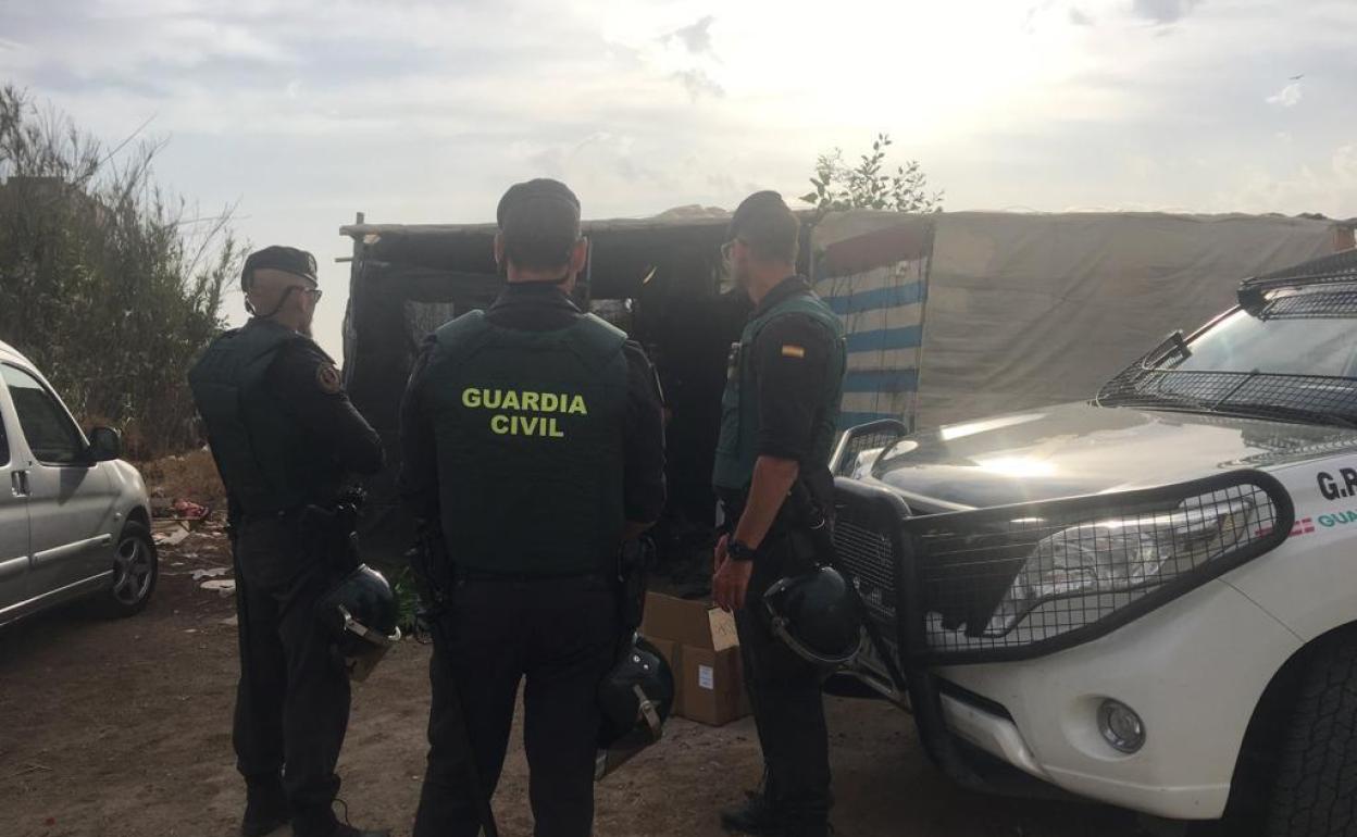 Operación policial en El Ejido | La Guardia Civil detiene a 18 personas y localiza 8.000 plantas de marihuana