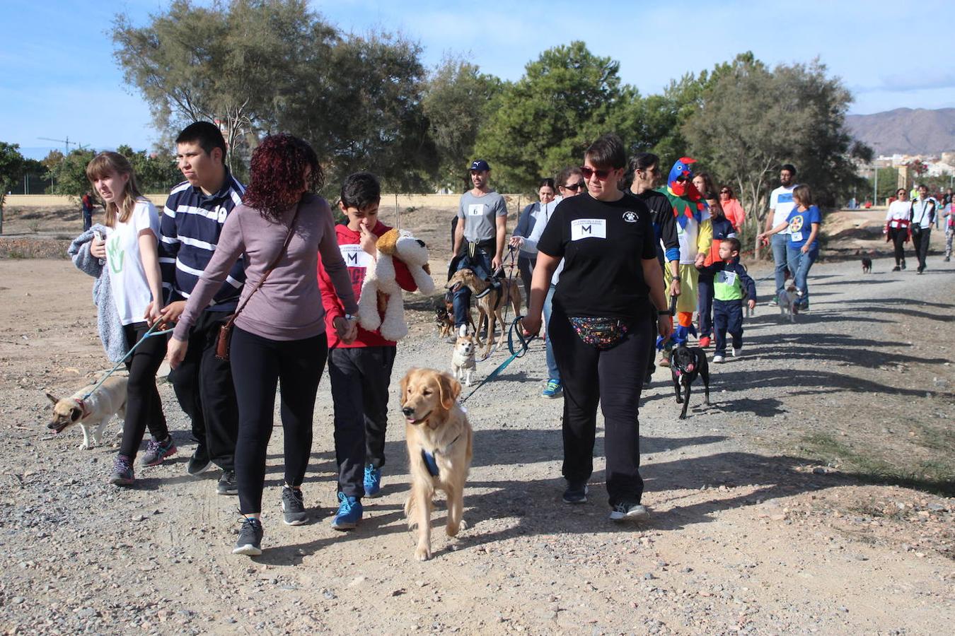 Concienciar y colaborar en una actividad deportiva, familiar y divertida. Esa fue la propuesta en la mañana de ayer de la asociación Soy Especial yQué con su segunda edición de la Masco Running. Una carrera cuya particularidad fue que había que correrla con una mascota bien real o en peluche, pero que también permitía hacerlo disfrazado de animal. Todo ello para de una manera divertida y amena concienciar sobre la importancia de cuidar a los animales y su tenencia responsable, al tiempo que dar a conocer los distintos refugios y asociaciones de animales que hay en el entorno.