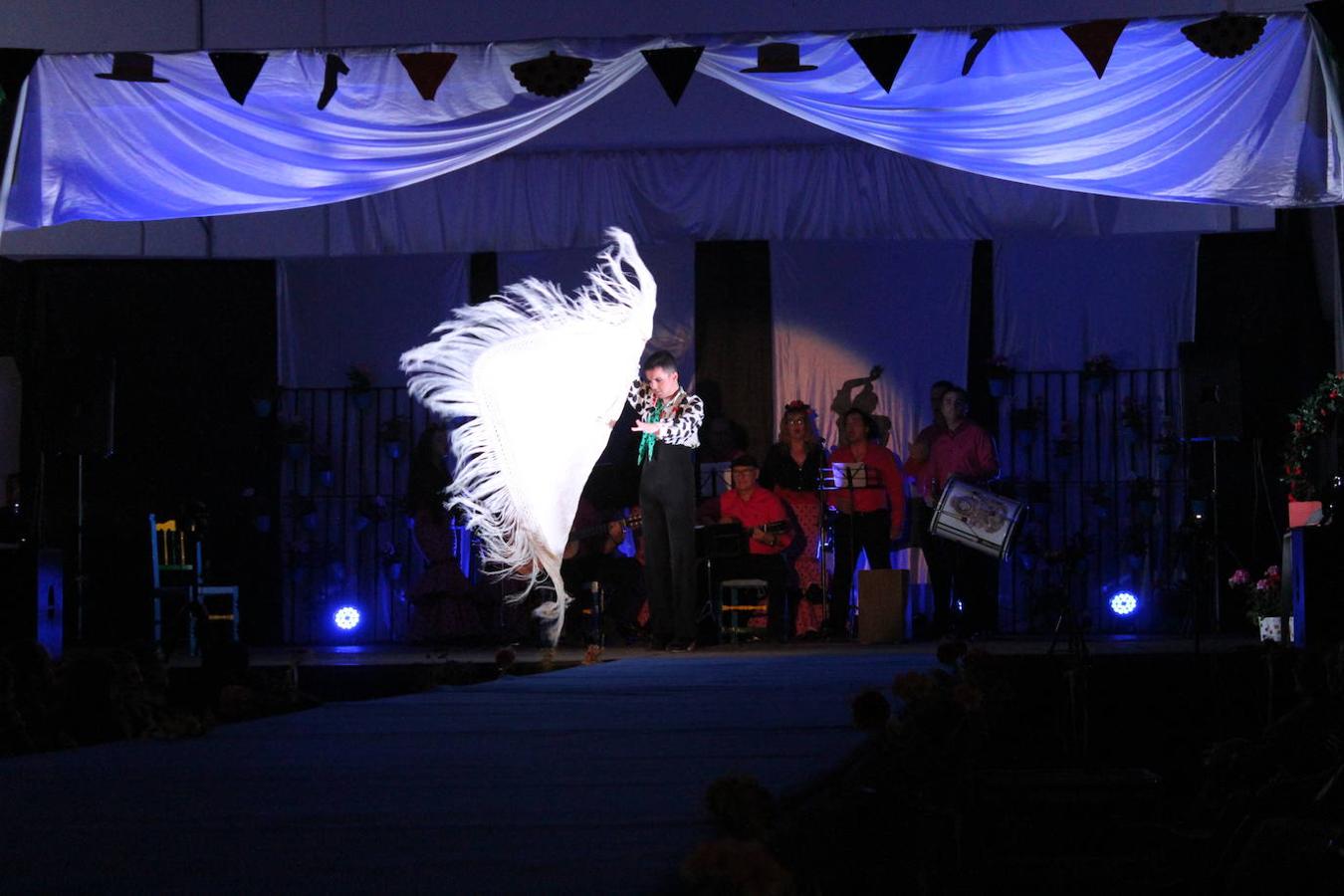 Fotos: Éxito de participación en la II Gala 'Vive el Flamenco'