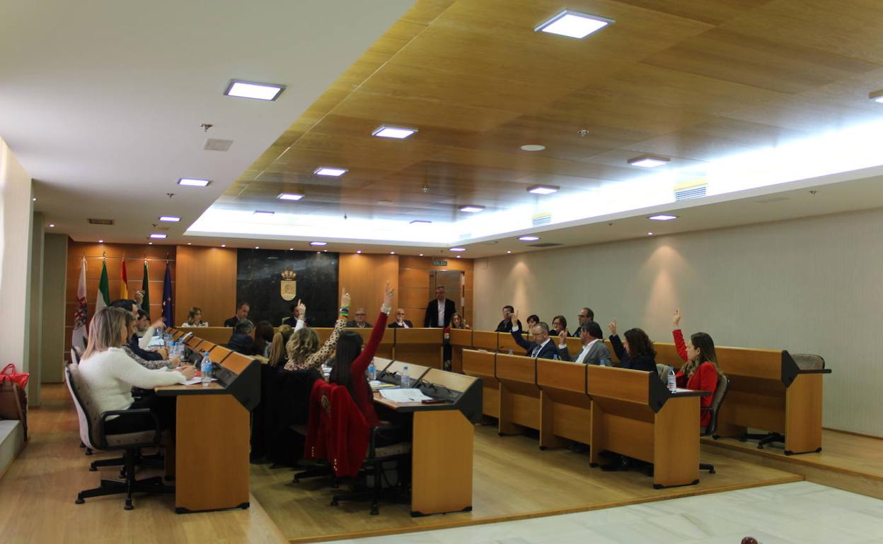 Vox y Ciudadanos votaron en contra de la moción socialista sobre financiación de proyectos de igualdad. 