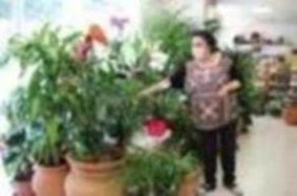 Fotos: El Ejido sale a la calle en su primer día de Fase 1