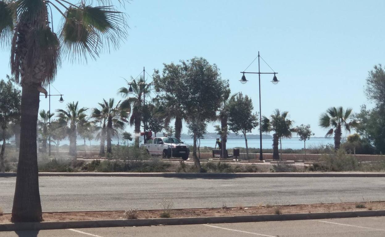 Adjudicado el contrato de Control y Vigilancia de Mosquitos en Almerimar