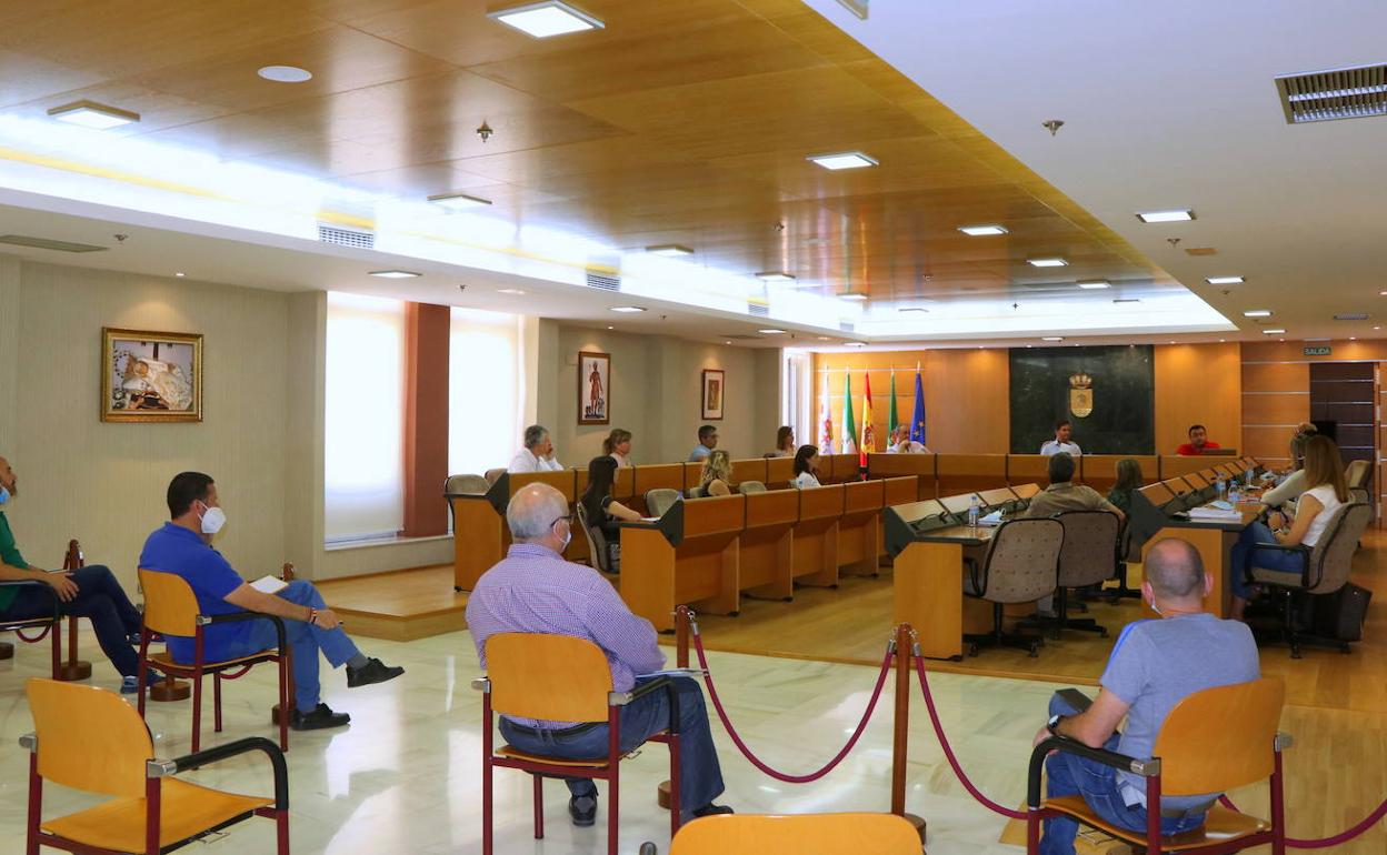 El anteproyecto de ordenanza de Mosquitos irá a exposición pública en unas semanas