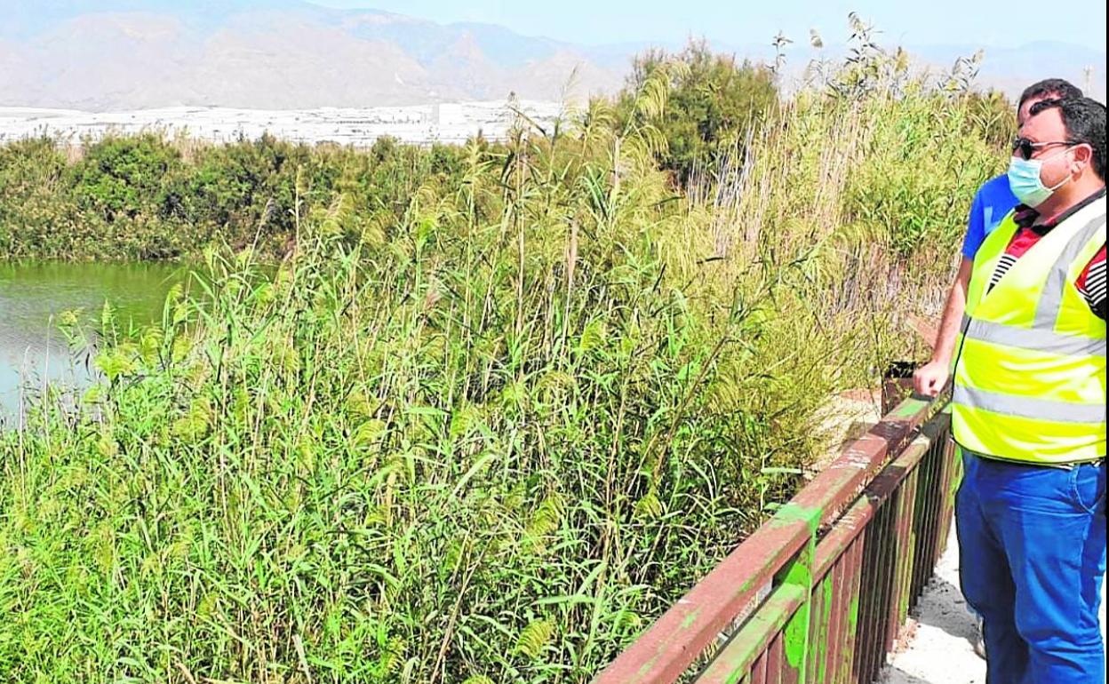 El concejal de Agricultura y Medio Ambiente, Francisco Pérez, en el humedal de la Balsa del Sapo. 