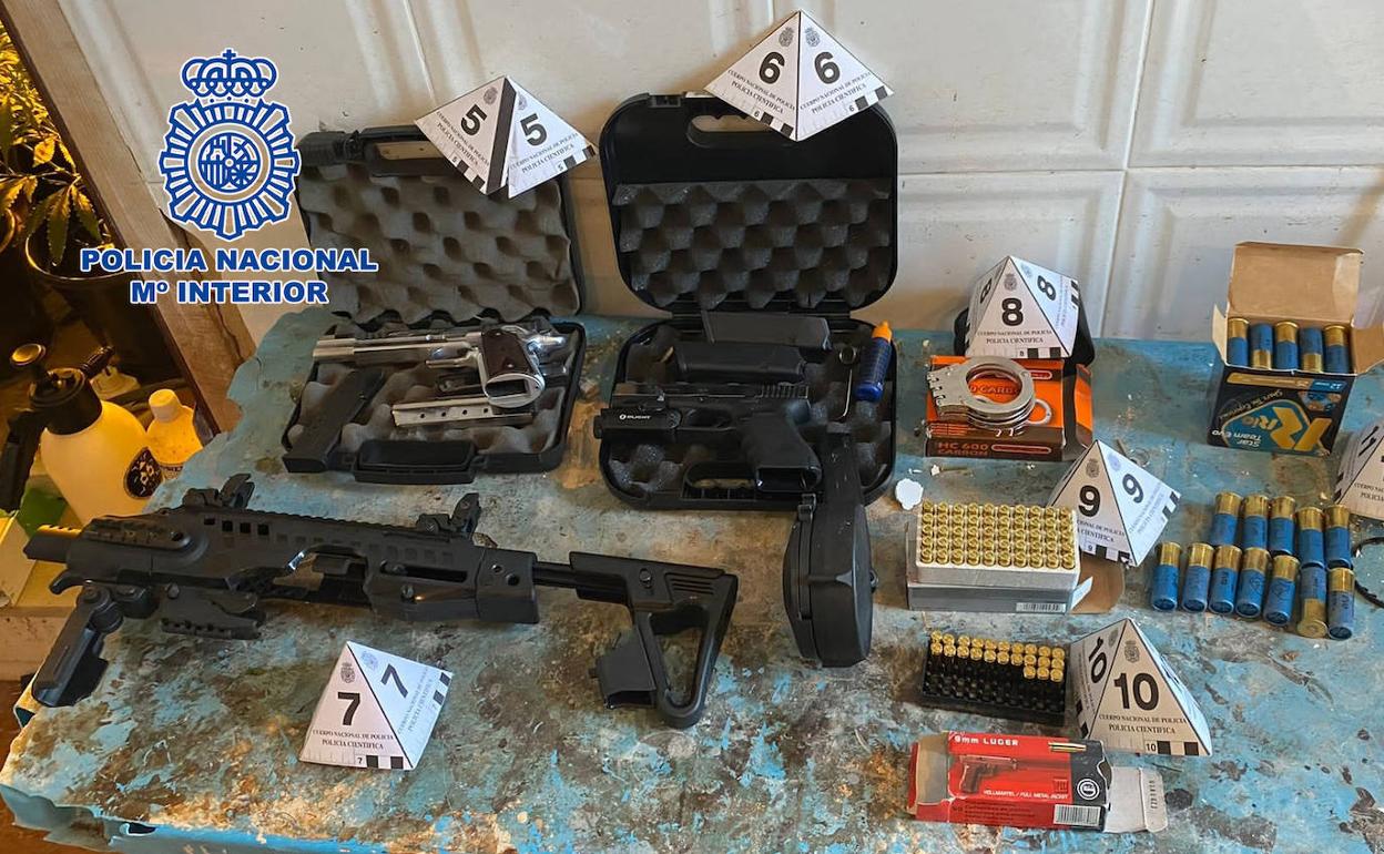 Sucesos en Almería | Detenida una pareja en El Ejido con 1.400 plantas de marihuana y un arsenal de armas en su vivienda