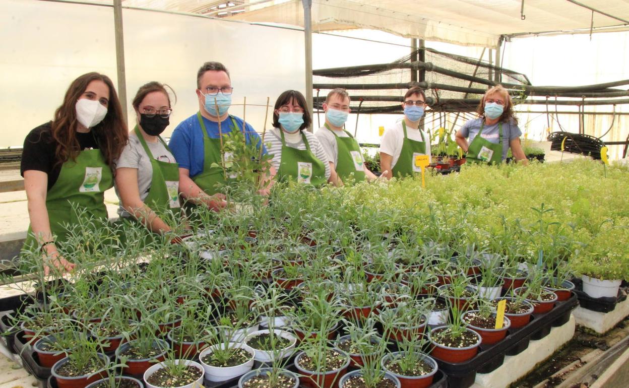 María, Lauri, Juan, Mar, Pablo,Tosi y María Luisa junto a algunas de las plantas que ellos crían en el Taller Ocupacional Agrointegra.