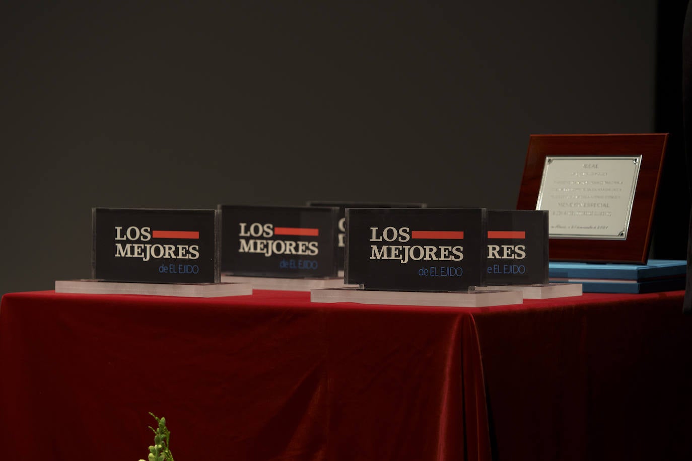 Fotos: Los premios IDEAL para los Mejores de El Ejido