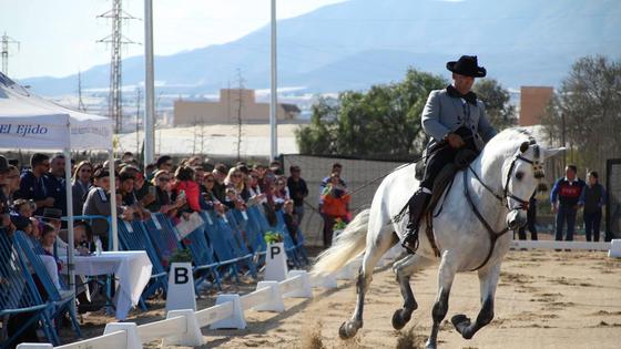 Cientos de personas descubren el arte de la doma