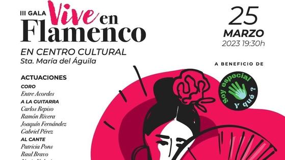 Llega la III Gala 'Vive en Flamenco' a favor de Soy Especial y Qué