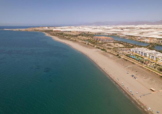 La ocupación turística en la costa ejidense supera el 85%