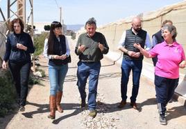 Incrementar la seguridad del campo, objetivo de VOX El Ejido