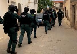 Encuentran casi 2.000 plantas de marihuana y detienen a 12 personas por una red de narcotráfico