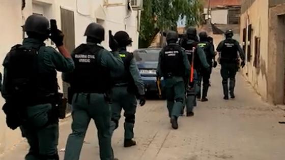 Encuentran casi 2.000 plantas de marihuana y detienen a 12 personas por una red de narcotráfico